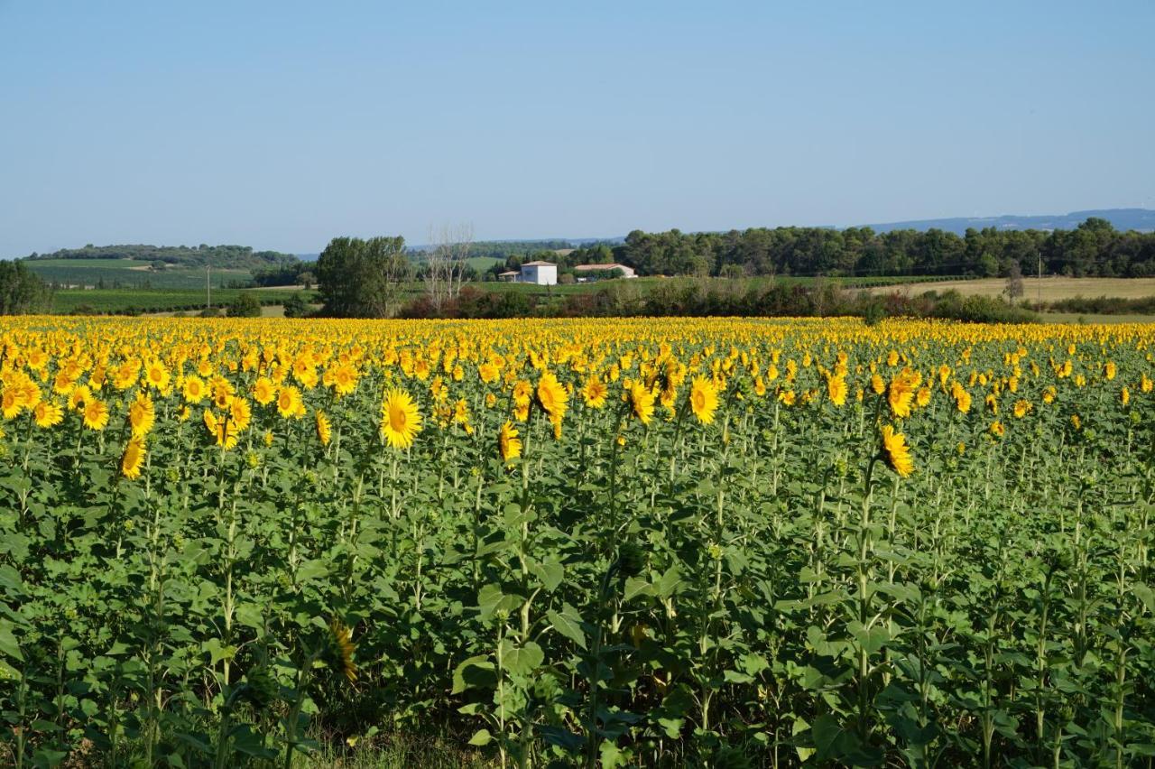 Le Clos Des Troubadours Pennautier Ngoại thất bức ảnh